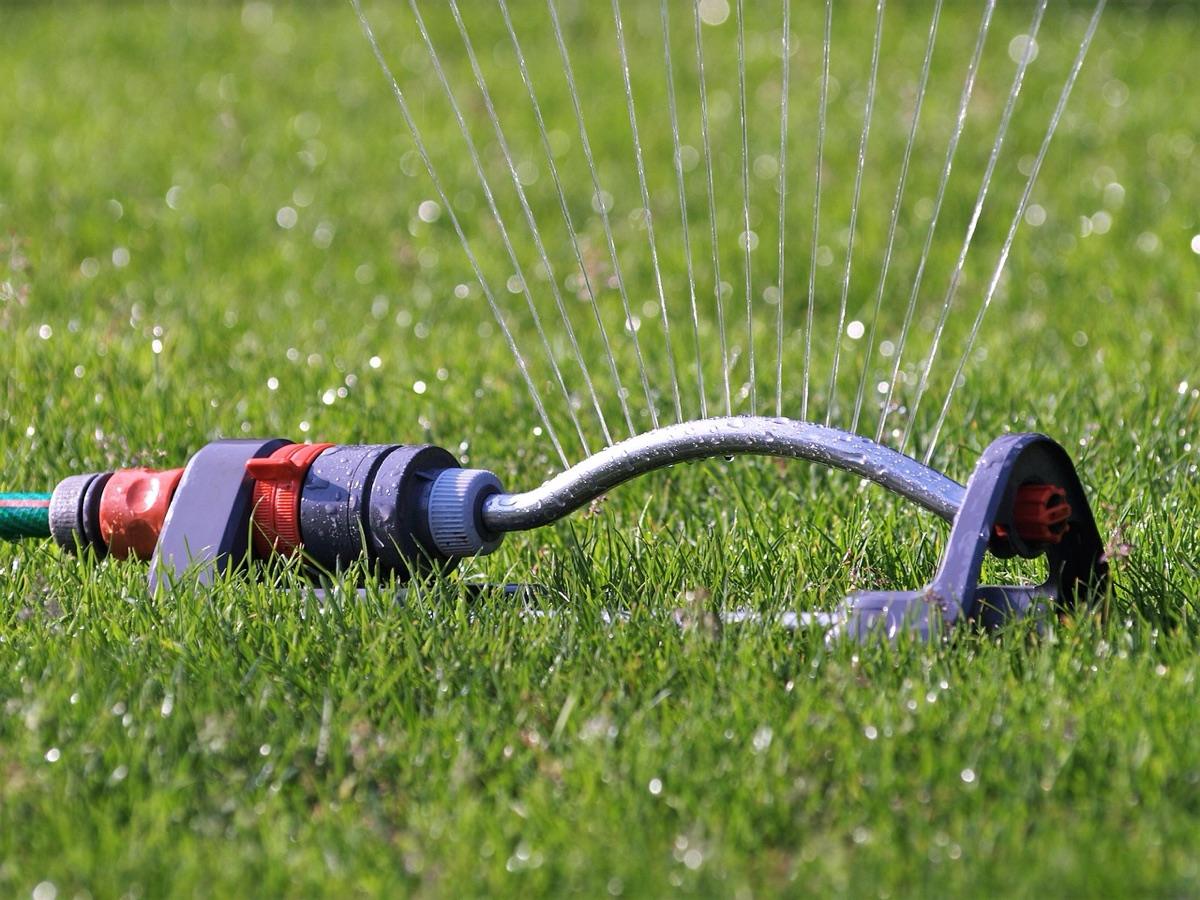 Oscillating sprinkler watering a green lawn