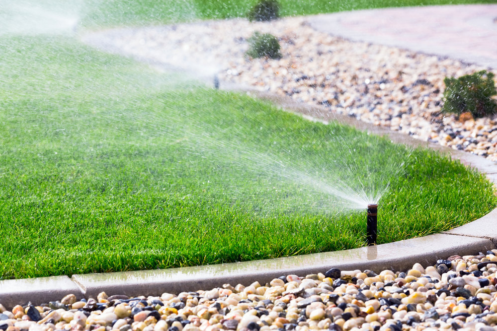 Sprinkler heads watering a landscaped lawn