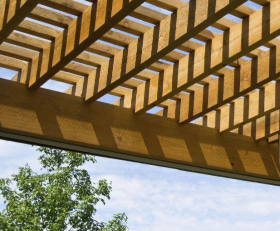 Cedar pergola over a paver patio with climbing foliage