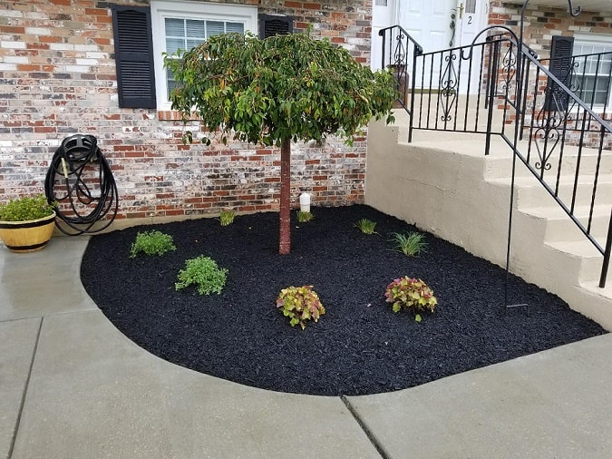 Mulch and Front Door