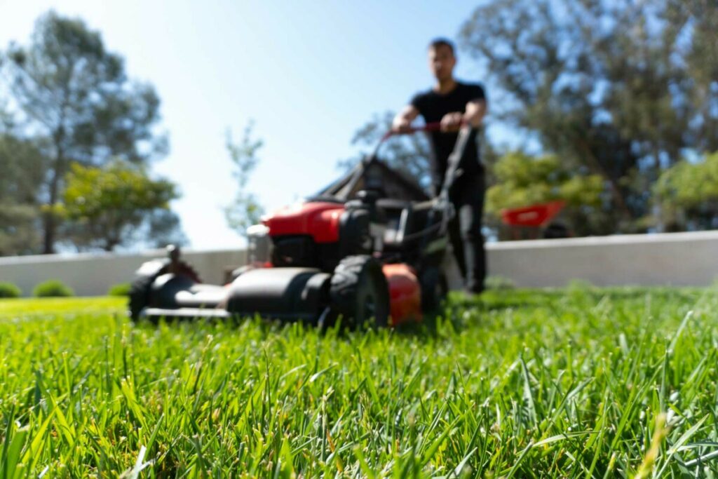 Landscaper mowing a green lawn with a push mower