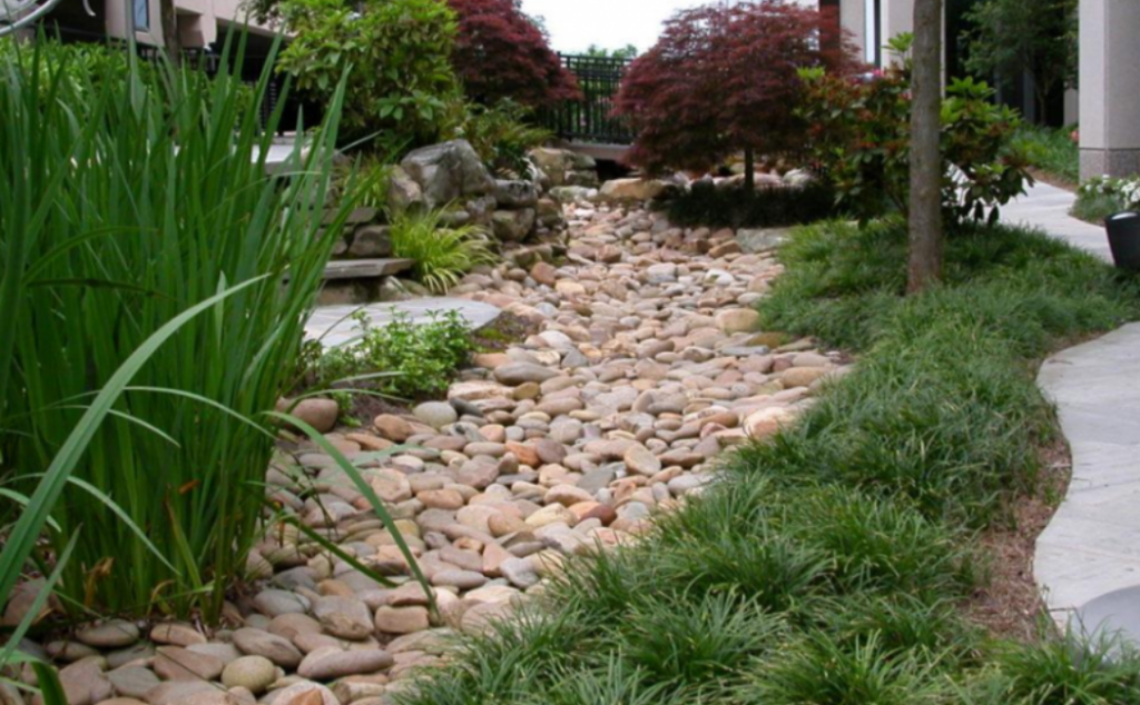 Dry creek bed of river stones with ornamental grasses in a low-maintenance landscape