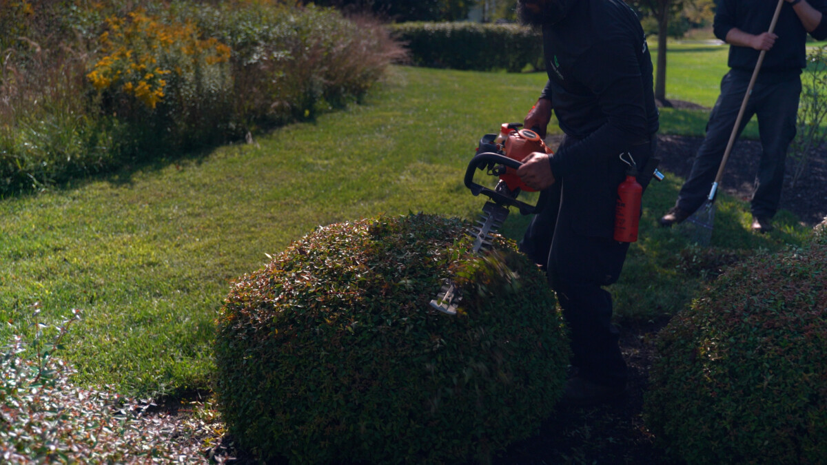 Green Acres crew trimming hedges on a residential property in Delaware