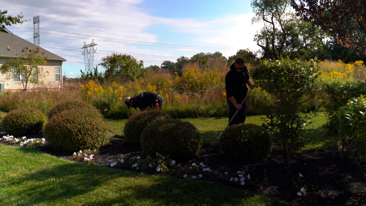 Spring cleanup of shrub beds