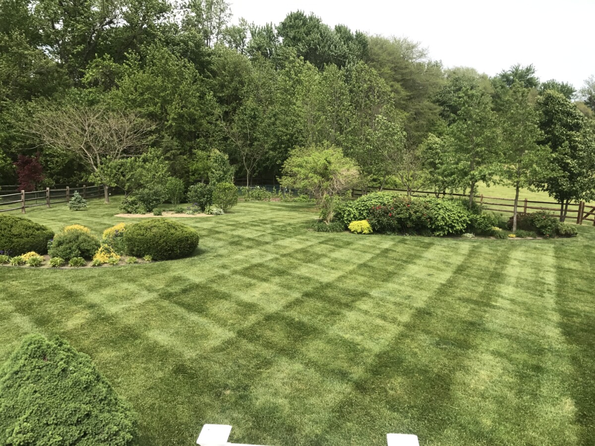 Residential landscape maintenance on a Wilmington, DE property