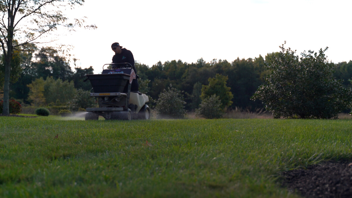 Healthy turf and planting beds treated by a lawn and plant health program
