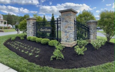 Commercial/HOA Services in Wilmington