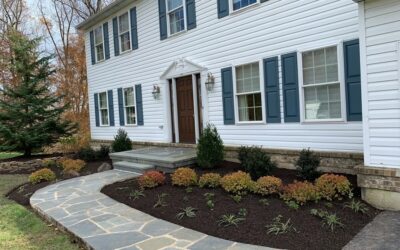 Outdoor Landscape Design