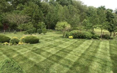 Wilmington Landscape Maintenance