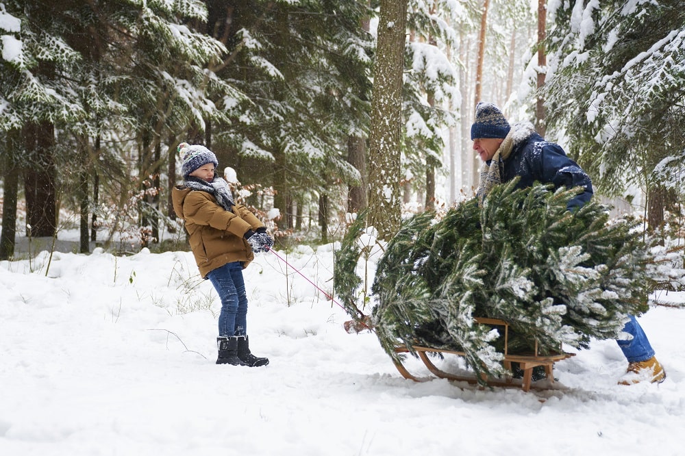 Green Acres Christmas Tree Service