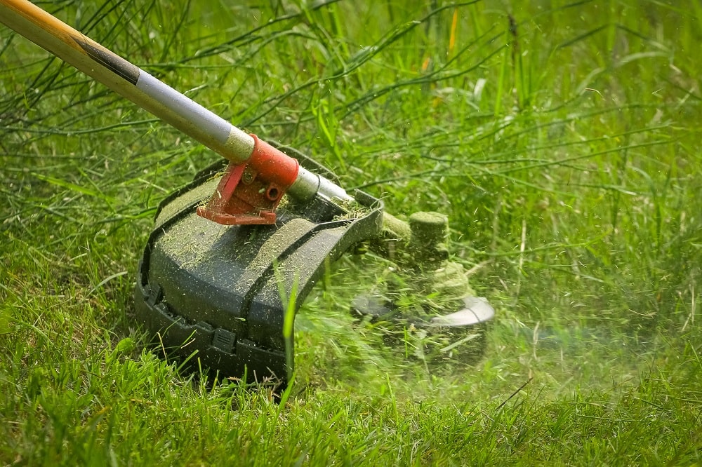 Overgrown brush being cut back along a property line
