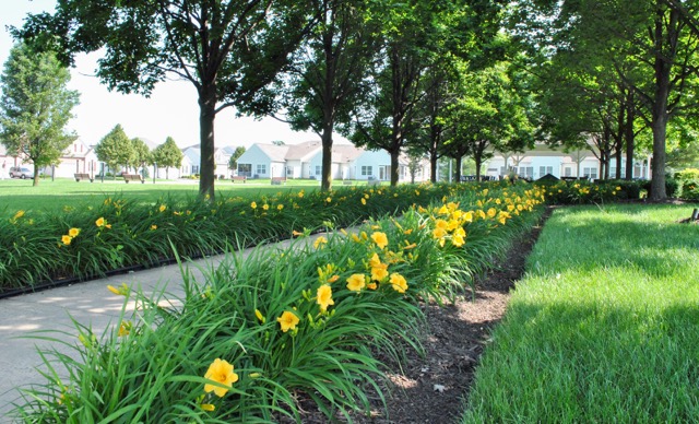 Lawn & Plant Health Services