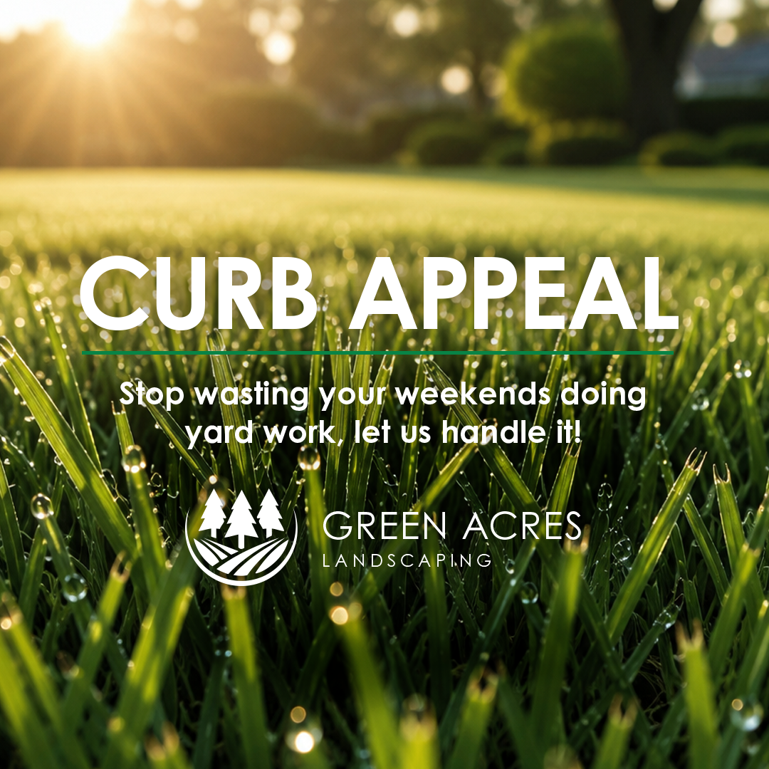 Curb Appeal