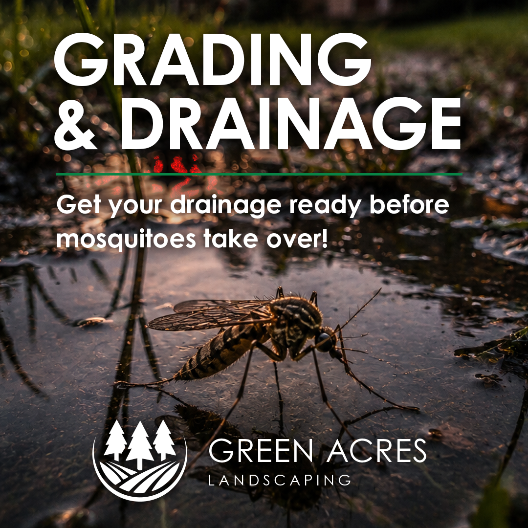 Grading & Drainage