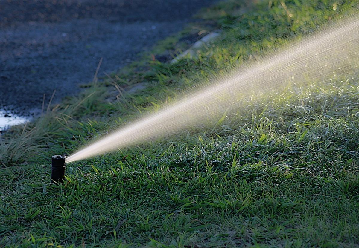 Pop-up irrigation sprinkler watering a lawn in summer heat